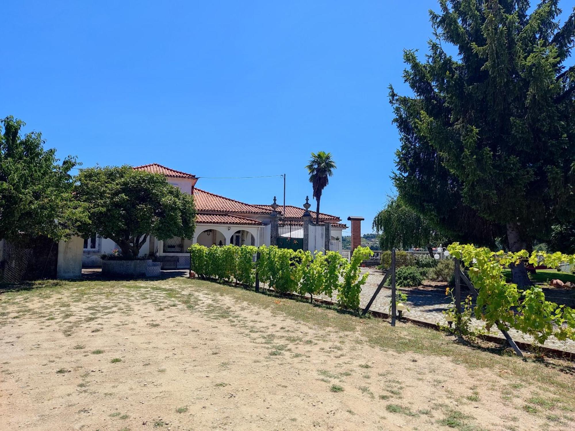Casa Da Real Companhia Hotel Lamego Eksteriør billede